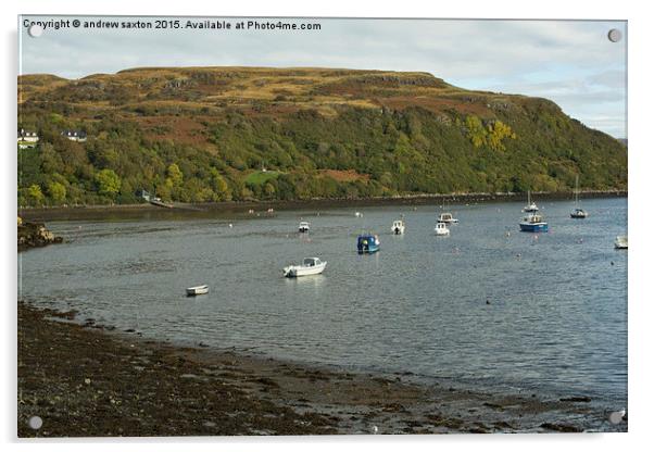  PORTREE HARBOUR  Acrylic by andrew saxton