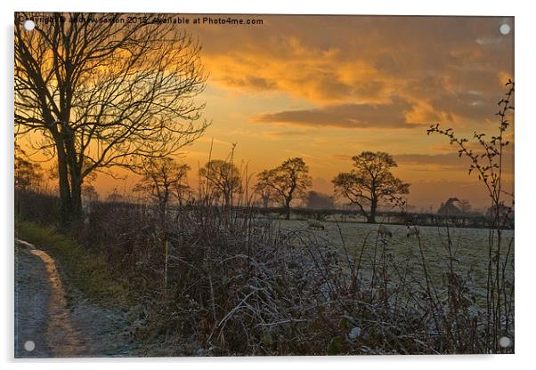  COUNTRYSIDE SUNSET Acrylic by andrew saxton