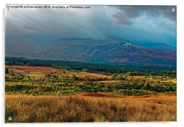  BEN'S CLOUDY Acrylic by andrew saxton