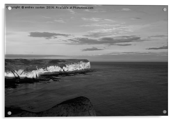 ITS THE COAST Acrylic by andrew saxton