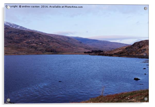 BLUE WELSH LAKE Acrylic by andrew saxton