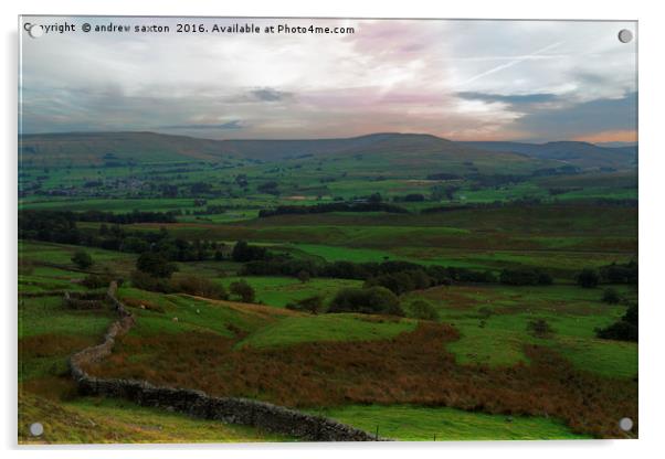 WENSLEYDALE COUNTRYSIDE Acrylic by andrew saxton