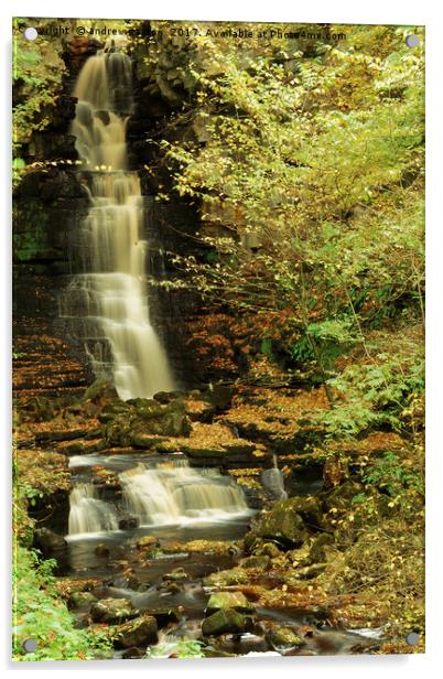 LEAFY WATERFALL Acrylic by andrew saxton