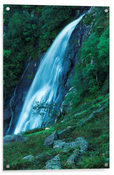 ABER FALLS OFF THE TOP Acrylic by andrew saxton