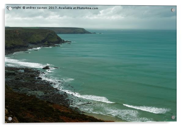 SEA AND CLIFF TOPS Acrylic by andrew saxton