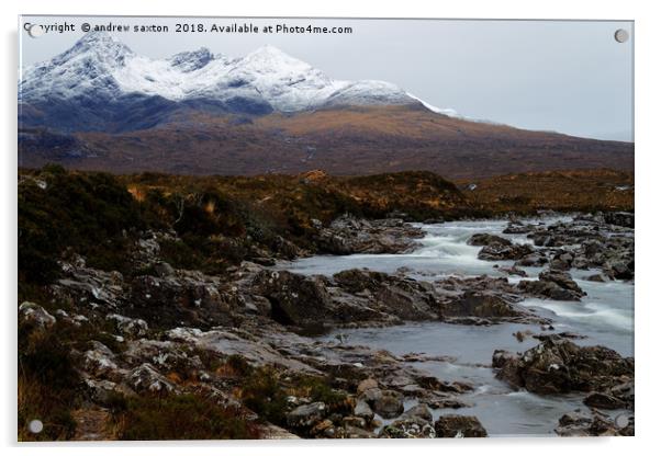 WHITE TOP CUILLINS  Acrylic by andrew saxton