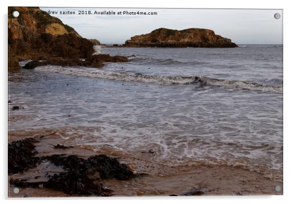 THE SEA ROCK Acrylic by andrew saxton