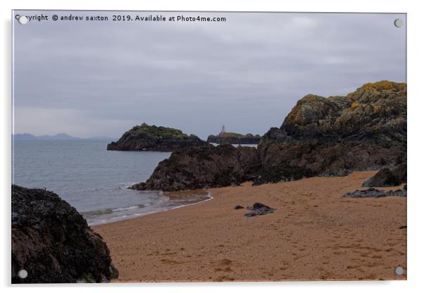 ROCKY SANDS  Acrylic by andrew saxton