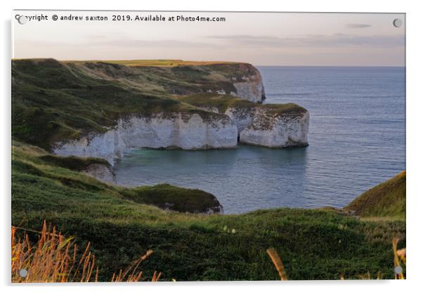 WHITE CLIFFS AT FLAMBOROUGH Acrylic by andrew saxton