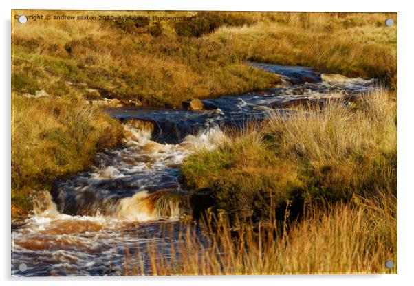 Fylingdales waterfalls Acrylic by andrew saxton