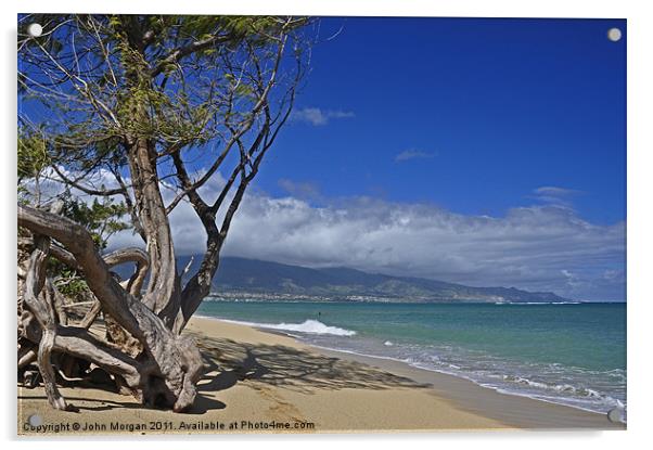 Hawaii beach. Acrylic by John Morgan
