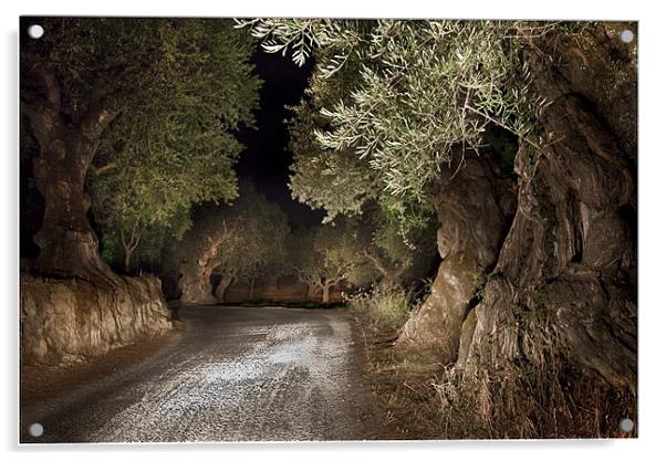 Olive Grove night Drive Acrylic by Peter Blunn