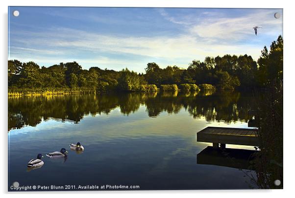 Lake @ Arrow Valley Country Park Redditch Acrylic by Peter Blunn