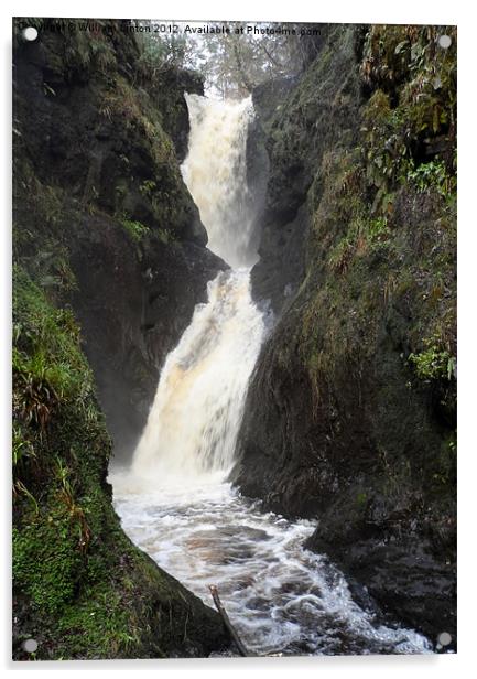 Waterfalls Acrylic by William Linton