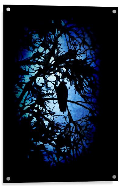 The Raven (dark) Acrylic by Maria Tzamtzi Photography