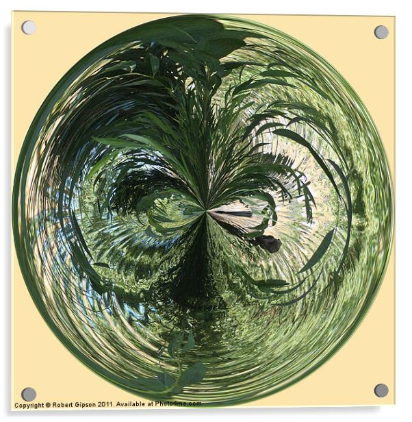 Spherical Paperweight at the Pond Acrylic by Robert Gipson