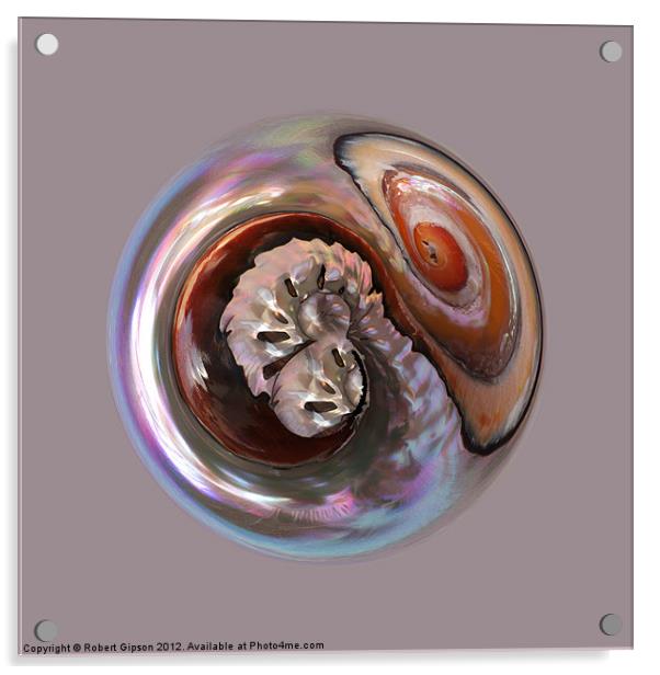 Spherical shell Acrylic by Robert Gipson