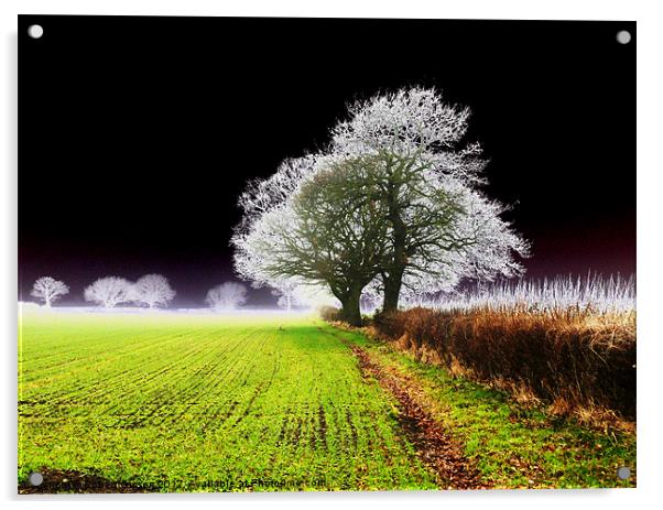 Winter Crop Acrylic by Robert Gipson