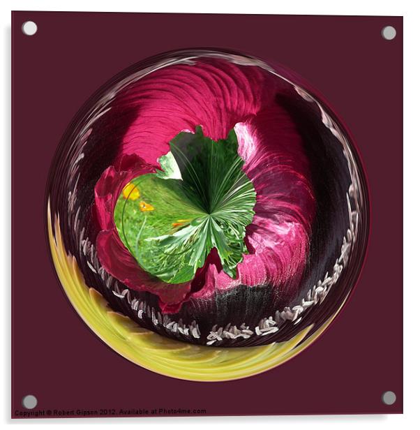 Spherical Eye of the poppy Acrylic by Robert Gipson