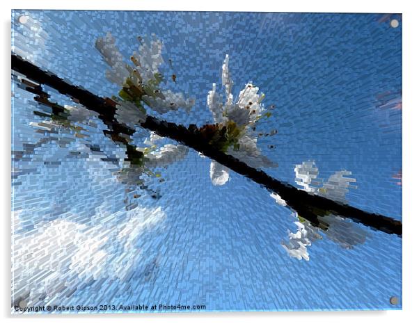Apple blossom time Acrylic by Robert Gipson