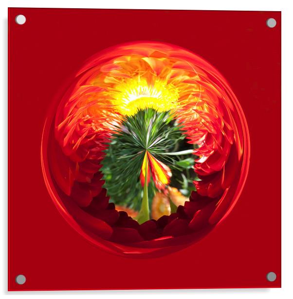 Fire Globe Acrylic by Robert Gipson