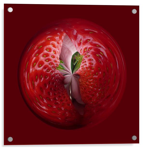 Strawberry from the inside Acrylic by Robert Gipson