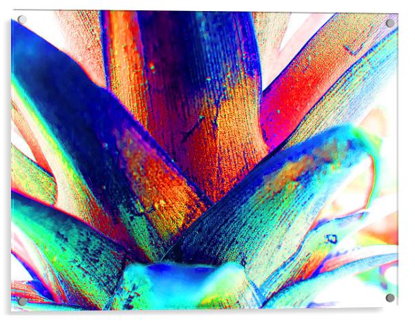 Pineapple abstract extreme Acrylic by Robert Gipson