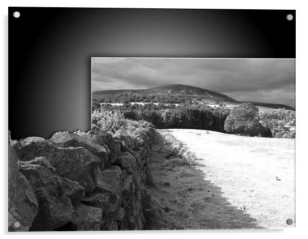 Yorkshire stone wall Acrylic by Robert Gipson