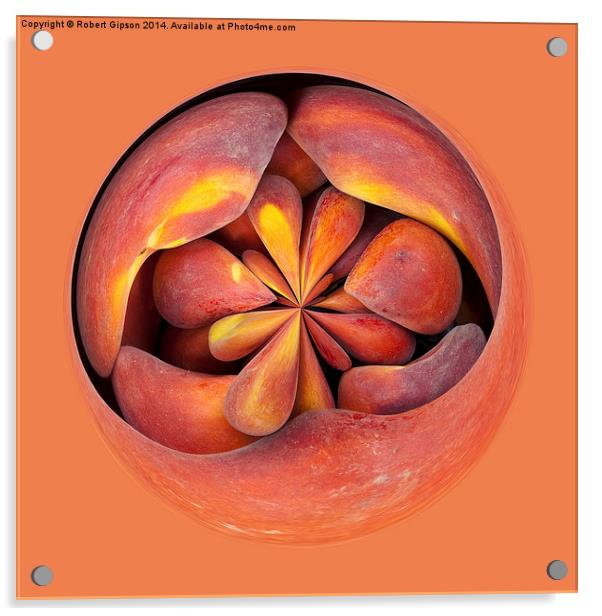  Peach in the globe 2 Acrylic by Robert Gipson