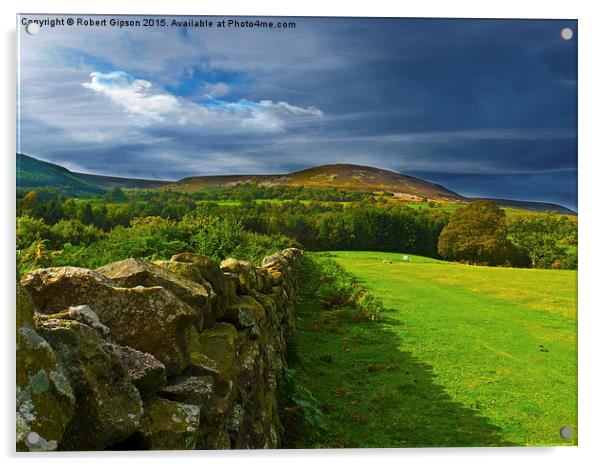  Yorkshire, looking it,s best again. Acrylic by Robert Gipson