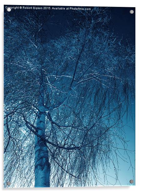 Tree in blue light  Acrylic by Robert Gipson
