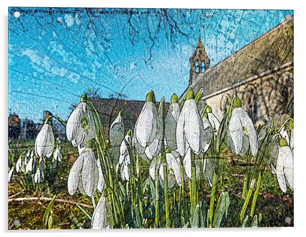  Snowdrops on texture Acrylic by Robert Gipson