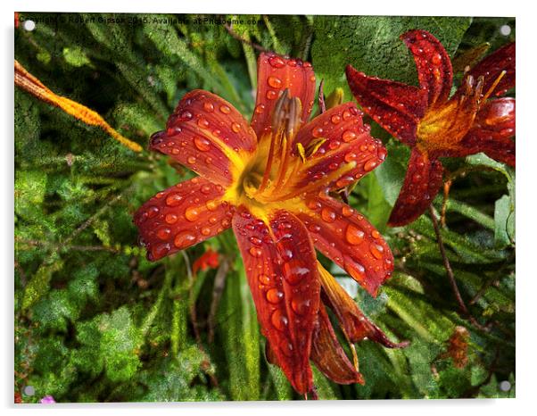  Red Lily on texture Acrylic by Robert Gipson