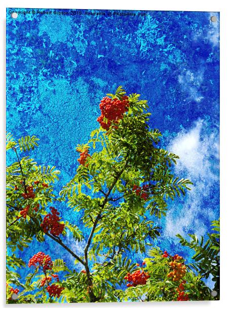  Rowan tree  with be berries and textures Acrylic by Robert Gipson