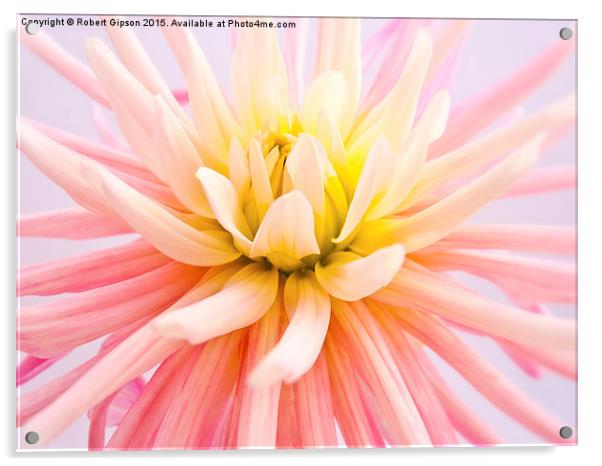  A summer Dahlia flower Acrylic by Robert Gipson