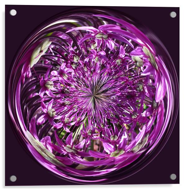 Spherical Purple Haze Acrylic by Robert Gipson