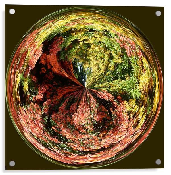 Spherical Flower Power Acrylic by Robert Gipson
