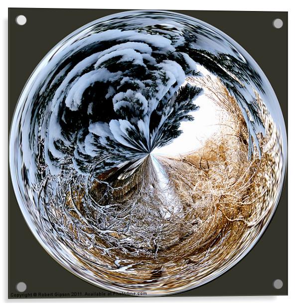 Spherical Paperweight Winters Entanglement Acrylic by Robert Gipson