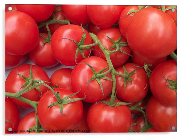 Tomatoes to go. Acrylic by Robert Gipson