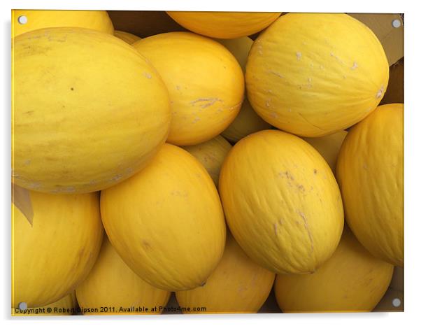 Melons Cucurbitaceae Acrylic by Robert Gipson