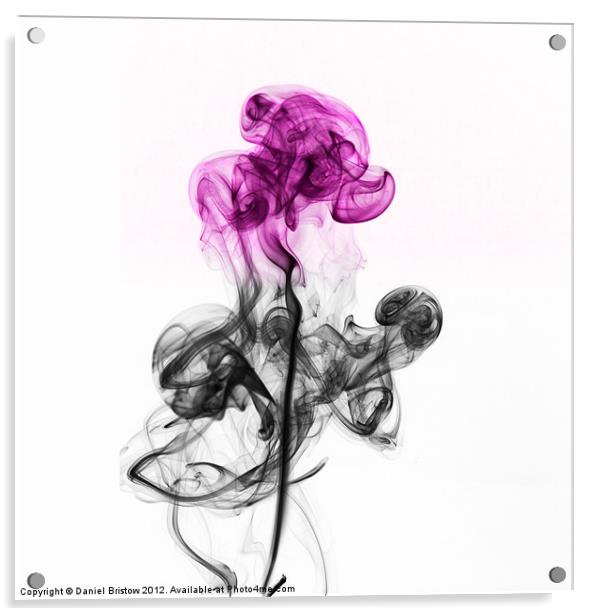 Abstract smoke flower. Acrylic by Daniel Bristow