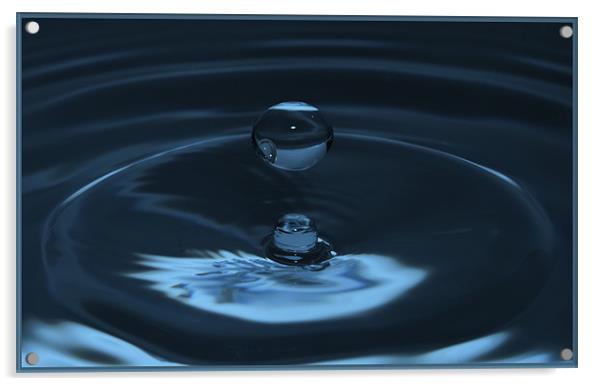 Water Drop, Acrylic by Daniel Bristow