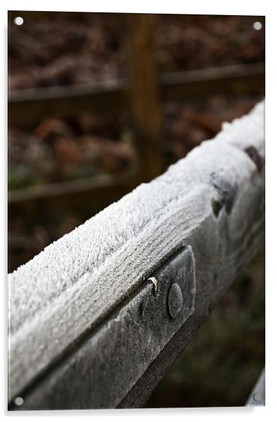 Frosty gate Acrylic by Steve Purnell