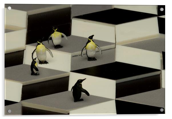Penguins In An Illusion Acrylic by Steve Purnell