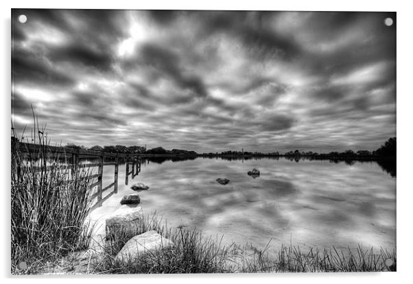 Penyfan Pond Monochrome Acrylic by Steve Purnell