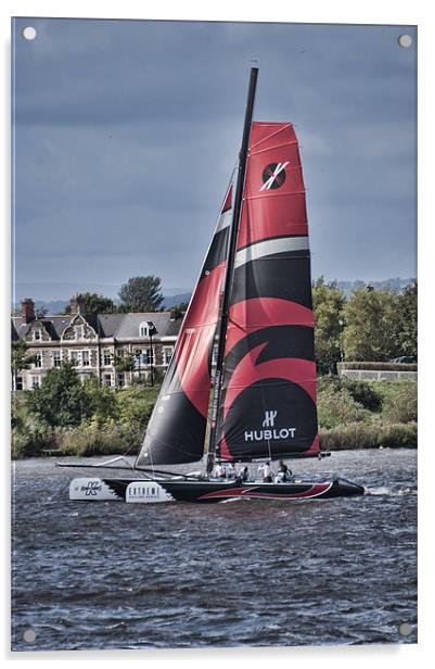 Extreme 40 Team Alinghi Acrylic by Steve Purnell