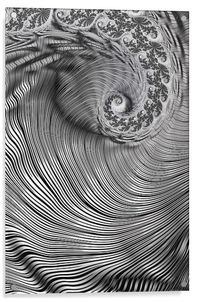 Zebra Swirls Acrylic by Steve Purnell