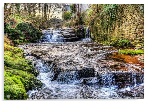 Talgarth Waterfall 1 Acrylic by Steve Purnell