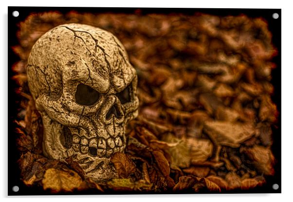 Halloween Skull 1 Acrylic by Steve Purnell