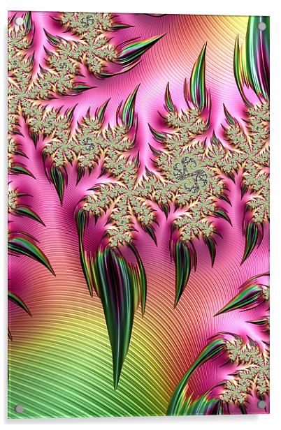 Rainbow Thorns Acrylic by Steve Purnell